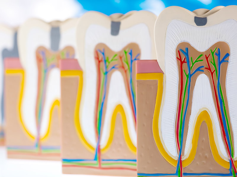 中目黒ゲートタウン歯科室の根管治療